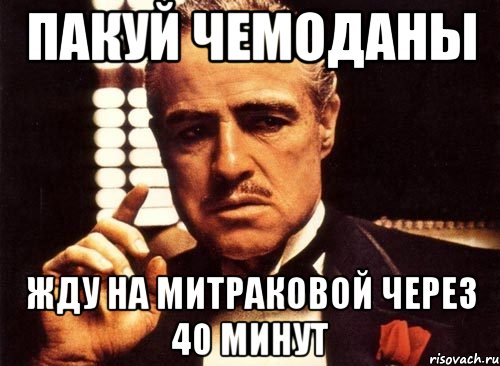 пакуй чемоданы жду на митраковой через 40 минут, Мем крестный отец