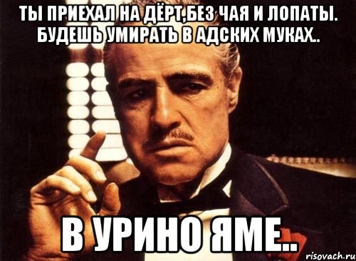 Ты приехал на дёрт,без чая и лопаты. Будешь умирать в адских муках.. В урино яме.., Мем крестный отец