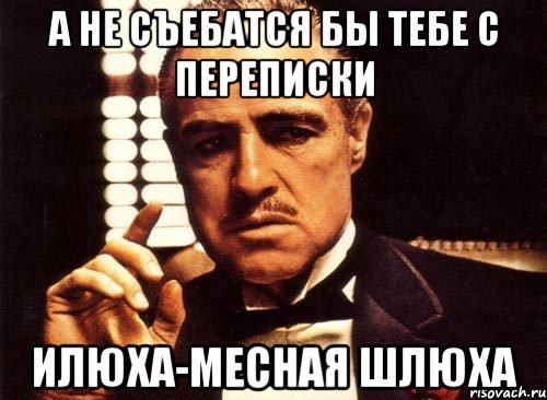 а не съебатся бы тебе с переписки илюха-месная шлюха, Мем крестный отец