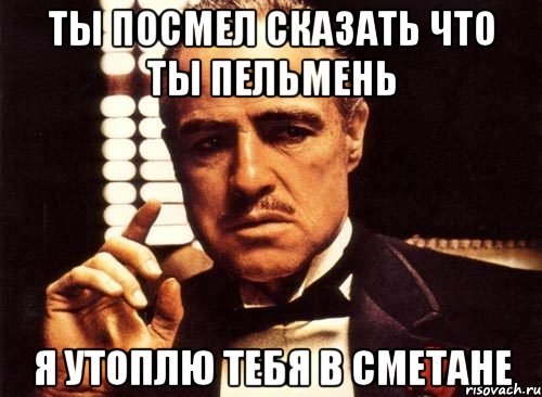 ты посмел сказать что ты пельмень я утоплю тебя в сметане, Мем крестный отец