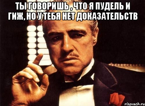 Ты говоришь , что я пудель и гиж, но у тебя нет доказательств , Мем крестный отец