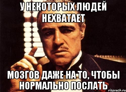 у некоторых людей нехватает мозгов даже на то, чтобы нормально послать, Мем крестный отец