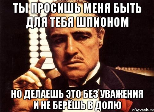 Ты просишь меня быть для тебя шпионом Но делаешь это без уважения и не берёшь в долю, Мем крестный отец