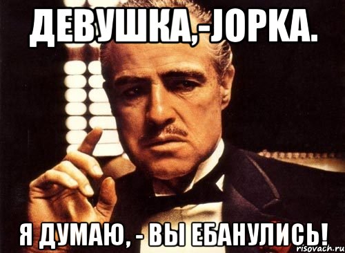 Девушка,-Jopka. Я думаю, - Вы ебанулись!, Мем крестный отец