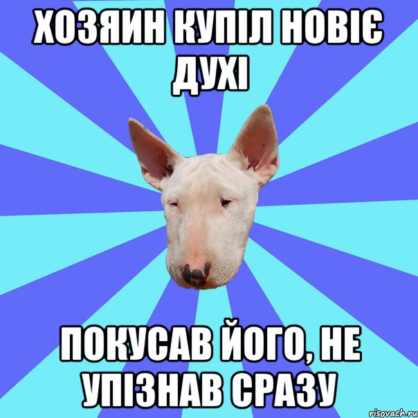 Хозяин купіл новіє духі покусав його, не упізнав сразу