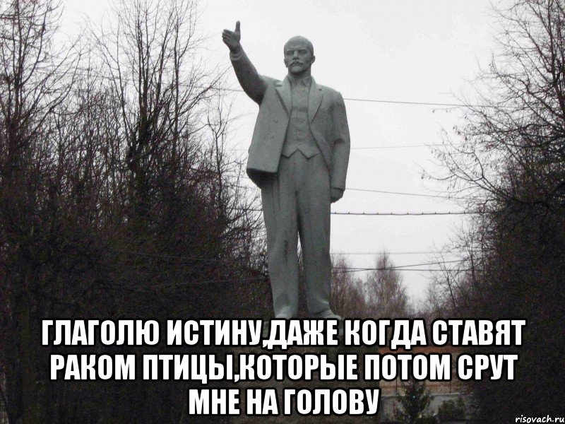  Глаголю истину,даже когда ставят раком птицы,которые потом срут мне на голову