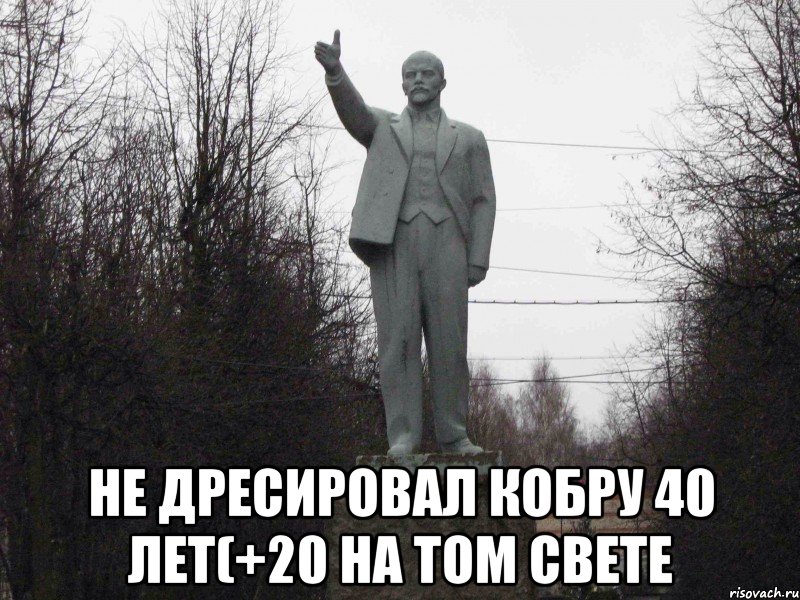  Не дресировал кобру 40 лет(+20 на том свете