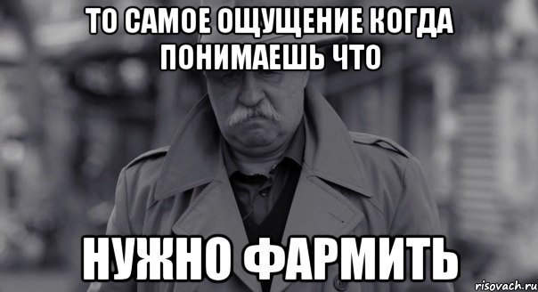 То самое ощущение когда понимаешь что НУЖНО ФАРМИТЬ