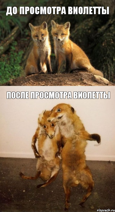 До просмотра Виолетты После просмотра Виолетты, Комикс Лисицы