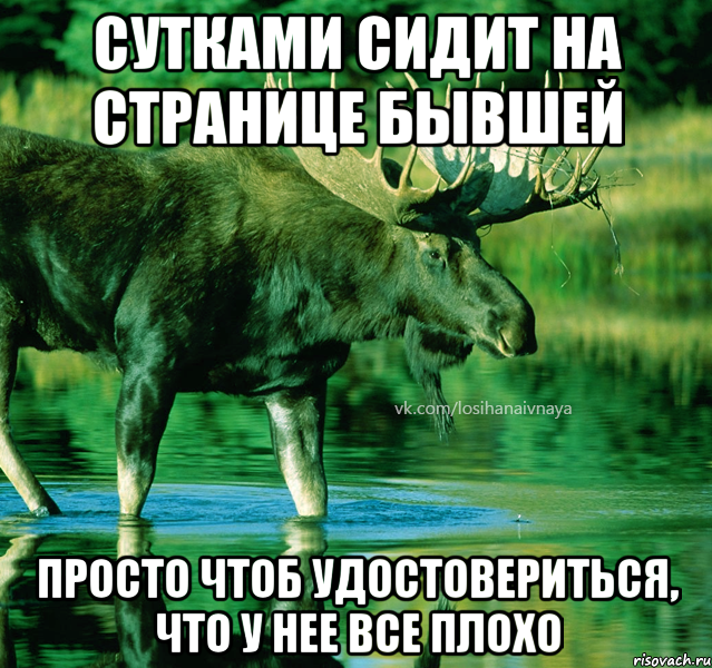 сутками сидит на странице бывшей просто чтоб удостовериться, что у нее все плохо
