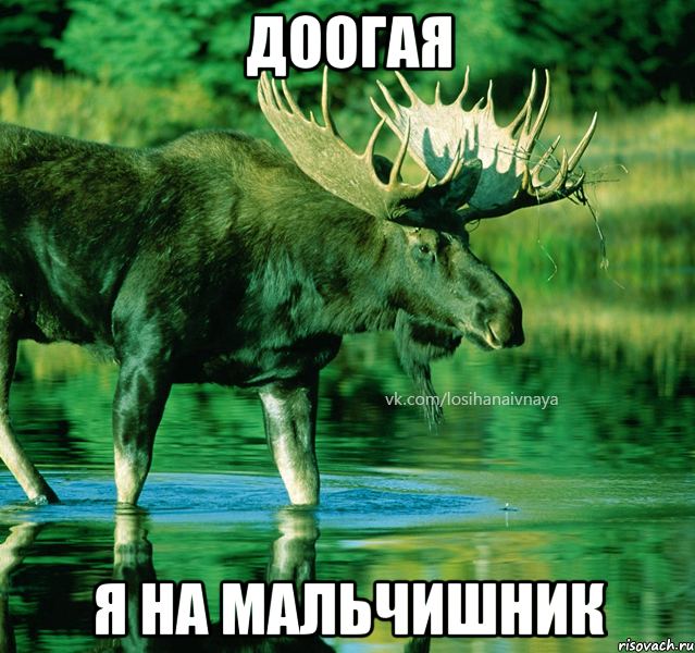 Доогая я на мальчишник