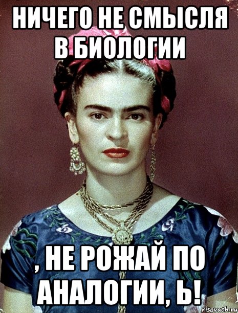 Ничего не смысля в биологии , не рожай по аналогии, Ь!, Мем Magdalena Carmen Frieda Kahlo Ca