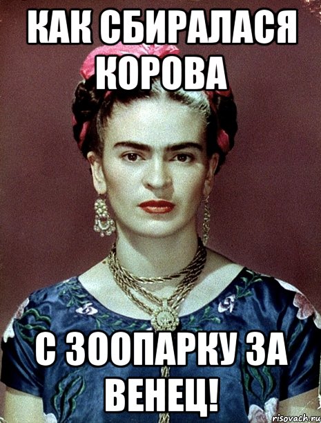 Как сбиралася корова с зоопарку за венец!