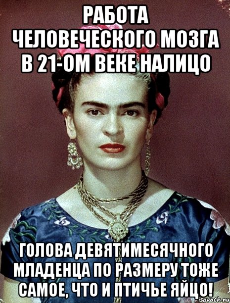 Работа человеческого мозга в 21-ом веке налицо голова девятимесячного младенца по размеру тоже самое, что и птичье яйцо!