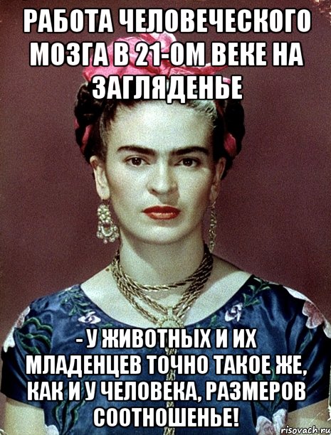 Работа человеческого мозга в 21-ом веке на загляденье - у животных и их младенцев ТОЧНО ТАКОЕ ЖЕ, как и у человека, размеров соотношенье!