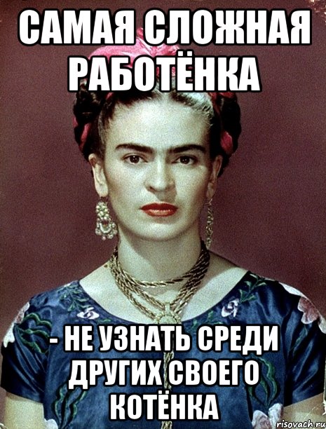 Самая сложная работёнка - не узнать среди других своего котёнка