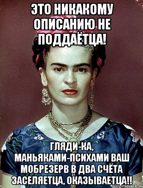 Это никакому описанию не поддаётца! Гляди-ка, маньяками-психами ваш мобрезерв в два счёта заселяетца, оказываетца!!, Мем Magdalena Carmen Frieda Kahlo Ca