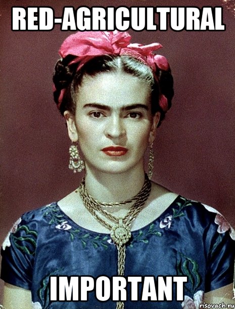red-agricultural important, Мем Magdalena Carmen Frieda Kahlo Ca