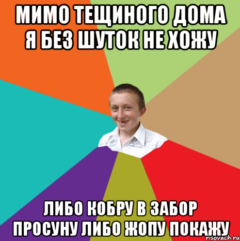 мимо тещиного дома я без шуток не хожу либо кобру в забор просуну либо жопу покажу, Мем  малый паца