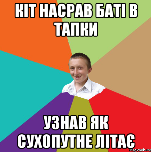 КІТ НАСРАВ БАТІ В ТАПКИ УЗНАВ ЯК СУХОПУТНЕ ЛІТАЄ