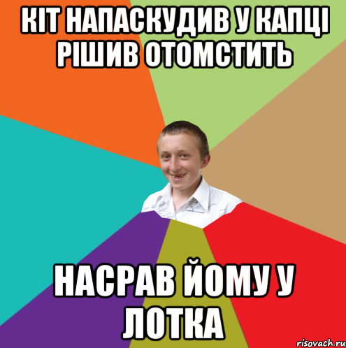 кіт напаскудив у капці рішив отомстить насрав йому у лотка, Мем  малый паца