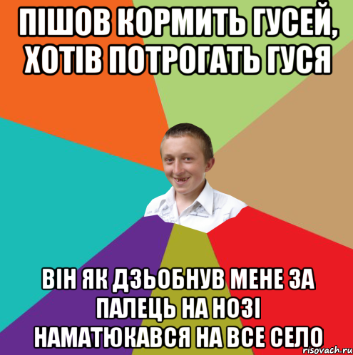 Пішов кормить гусей, хотів потрогать гуся Він як дзьобнув мене за палець на нозі наматюкався на все село, Мем  малый паца