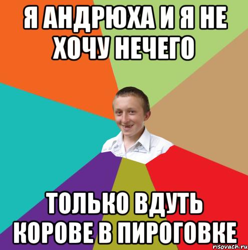 я Андрюха и я не хочу нечего ТОЛЬКО ВДУТЬ КОРОВЕ В ПИРОГОВКЕ, Мем  малый паца