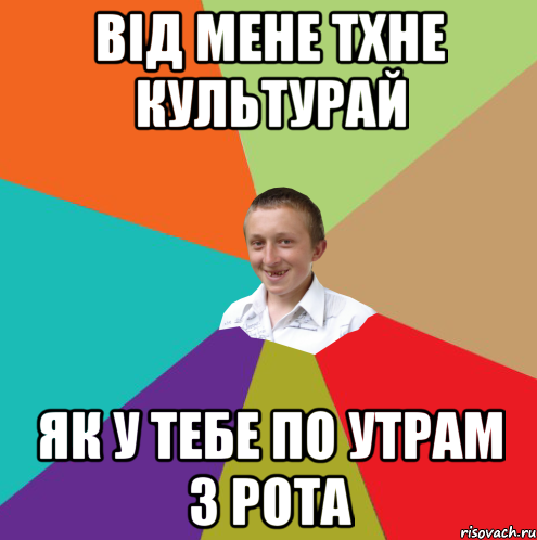 Від мене тхне культурай як у тебе по утрам з рота, Мем  малый паца