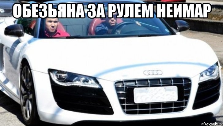 Обезьяна за рулем неимар 