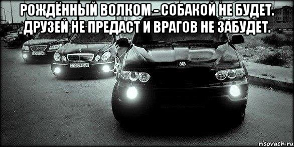 Рождённый волком - собакой не будет. Друзей не предаст и врагов не забудет. 
