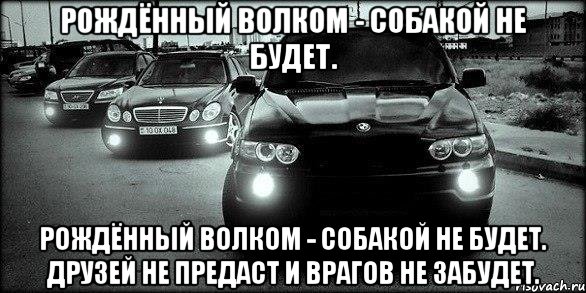 Рождённый волком - собакой не будет. Рождённый волком - собакой не будет. Друзей не предаст и врагов не забудет.