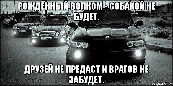 Рождённый волком - собакой не будет. Друзей не предаст и врагов не забудет.