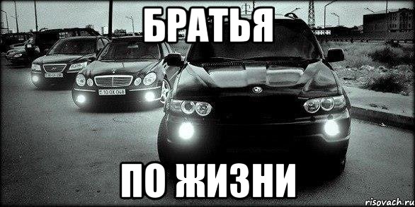 Братья по жизни
