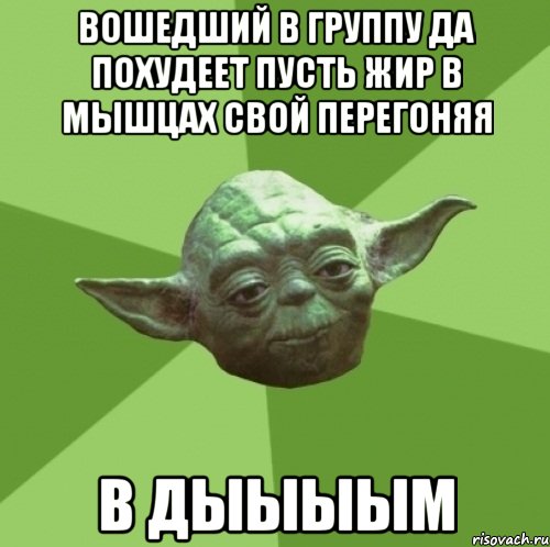 вошедший в группу да похудеет пусть жир в мышцах свой перегоняя в дыыыым, Мем Мастер Йода