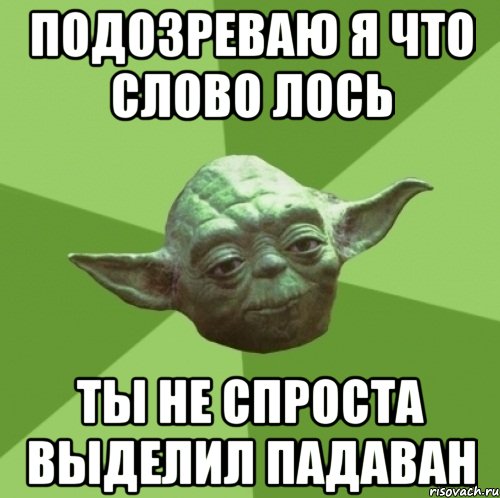 Подозреваю я что слово лось ты не спроста выделил падаван, Мем Мастер Йода