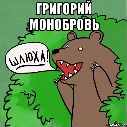 Григорий монобровь , Мем Медведь в кустах
