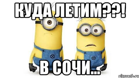 куда летим??! в сочи..., Мем Миньоны