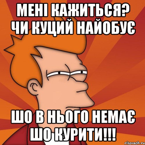 МЕНІ КАЖИТЬСЯ? ЧИ КУЦИЙ НАЙОБУЄ ШО В НЬОГО НЕМАЄ ШО КУРИТИ!!!, Мем Мне кажется или (Фрай Футурама)