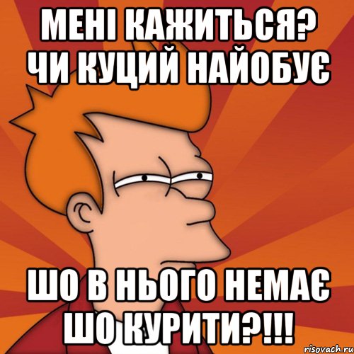 МЕНІ КАЖИТЬСЯ? ЧИ КУЦИЙ НАЙОБУЄ ШО В НЬОГО НЕМАЄ ШО КУРИТИ?!!!, Мем Мне кажется или (Фрай Футурама)