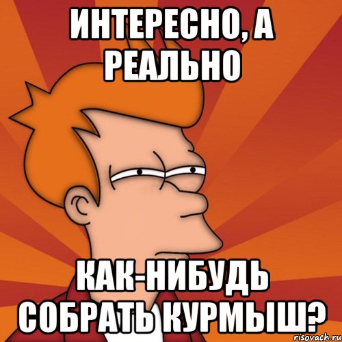 интересно, а реально как-нибудь собрать курмыш?, Мем Мне кажется или (Фрай Футурама)