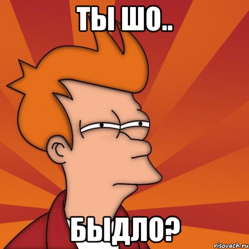 Ты шо.. Быдло?, Мем Мне кажется или (Фрай Футурама)