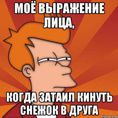 Моё выражение лица, когда затаил кинуть снежок в друга, Мем Мне кажется или (Фрай Футурама)