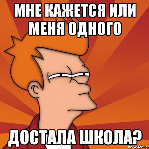 Мне кажется или меня одного Достала школа?, Мем Мне кажется или (Фрай Футурама)
