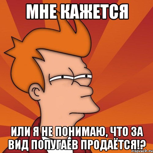 Мне кажется или я не понимаю, что за вид попугаев продаётся!?, Мем Мне кажется или (Фрай Футурама)