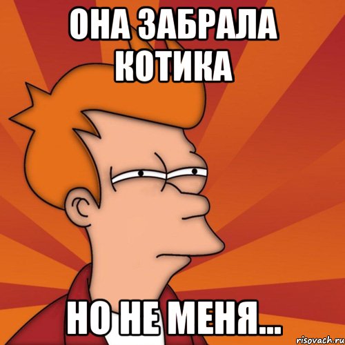 Она забрала котика но не меня..., Мем Мне кажется или (Фрай Футурама)
