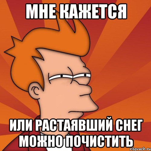 Мне кажется или растаявший снег можно почистить, Мем Мне кажется или (Фрай Футурама)