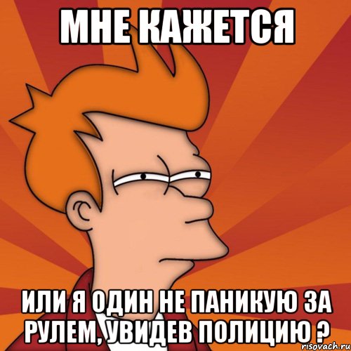 Мне кажется или я один не паникую за рулем, увидев полицию ?, Мем Мне кажется или (Фрай Футурама)
