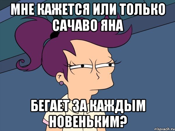 Мне кажется или только Сачаво Яна бегает за каждым новеньким?