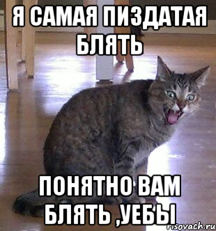 я самая пиздатая Блять понятно вам блять ,уебы
