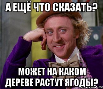 А ещё что сказать? Может на каком дереве растут ягоды?, Мем мое лицо